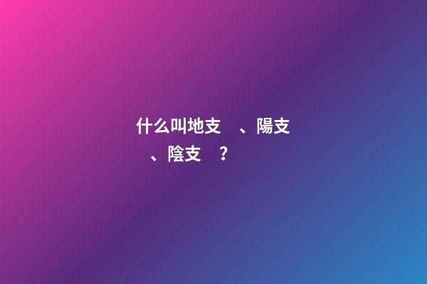什么叫地支、陽支、陰支？
